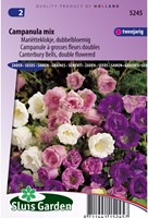 Canterbury Bells medium Double Mix - Campanula mix-2