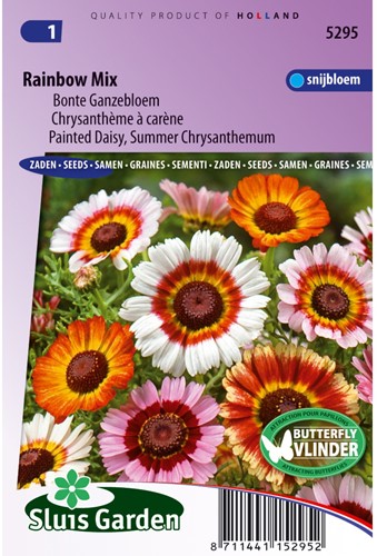 Margriet Rainbow Mixed (Bonte Ganzebloem)-2