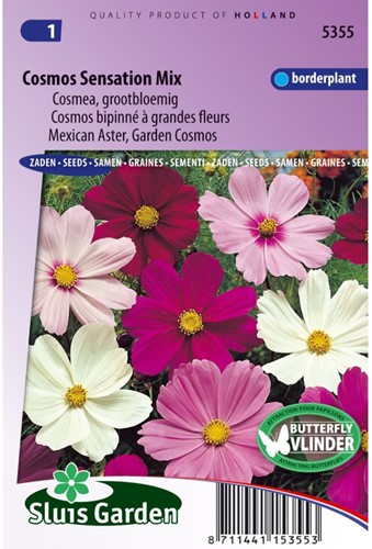 Mexican Aster, Garden Cosmos Sensation Mix-2