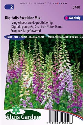 Foxglove Excelsior mix-2