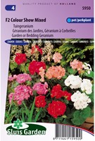 Geranium, Garden or Bedding F2 Colour Show Mix-2