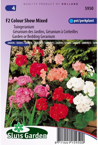 Geranium, Garden or Bedding F2 Colour Show Mix-2