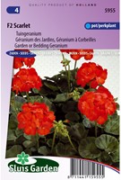 Tuingeranium F2 Rood-2