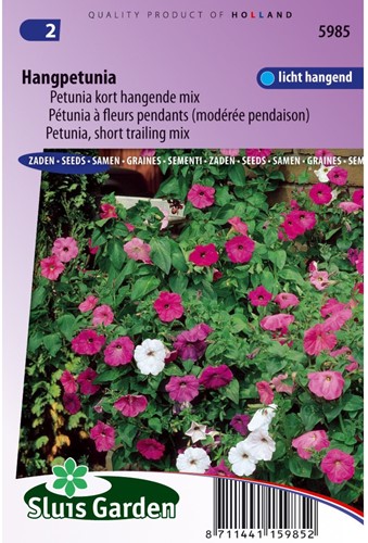Petunia, short trailing Mix-2