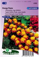 Marigold, French dwarf double Orange Flame - Tagetes-2