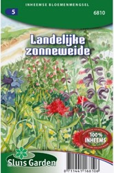 Rustic or Agrarian sunny lawns – Native Wildflower Mix