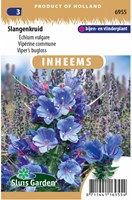 Viper’s bugloss - Echium vulgare