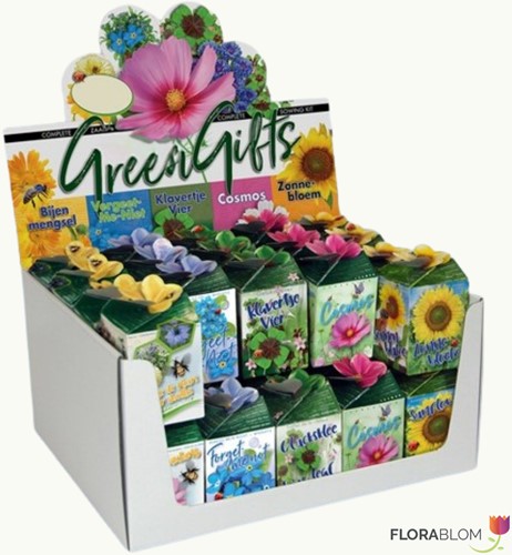 Greengift Mixed 40 pcs in showbox