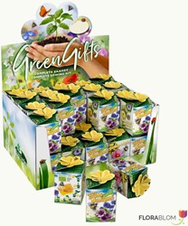 Greengift Bee flowers Mix 40 pcs in showbox