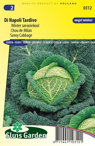 Savoy Cabbage Di Napoli Tardivo