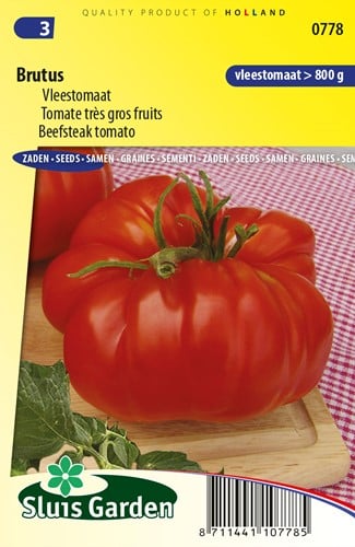 Beefsteak tomato Brutus - Lycopersicon