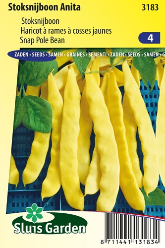 Snap Pole Bean Anita - Phaseolus coccineus