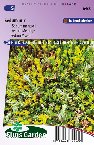 Stonecrop Mixed - Sedum