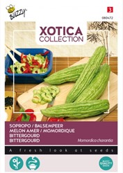 Xotica Gourd Sopropo - Momordica charantia