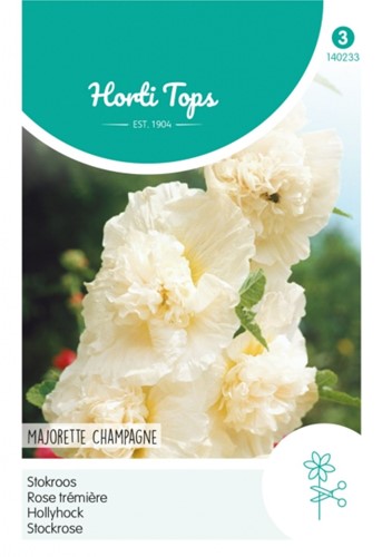Hollylock Majorette Champagne - Hortitops