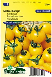 Tomato Goldene Konigin