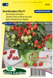 Cherry tomato Heartbreakers Vita F1