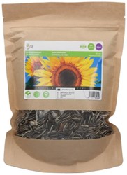 Giant Sunflower Seeds Bulk Pack 250 g
