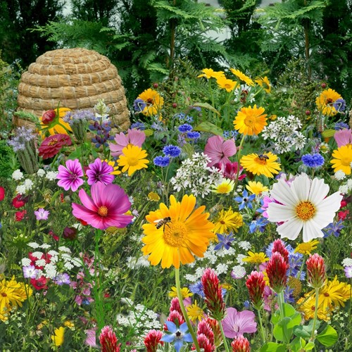 Tübinger mix for bee and butterfly EKO / 500m2