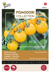 Tomato Cereza Amarilla Yellow Cherry