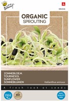 Organic Sprouting Zonnebloem BIO – Helianthus annuus