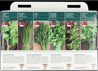 Collection 6 populair culinary herbs - Buzzy Collection-2
