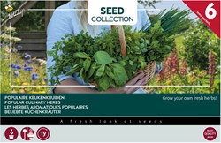 Collection 6 populair culinary herbs - Buzzy Collection