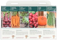 Collection 6 Vegetable garden for beginners – Buzzy Collection-3