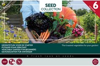 Collection 6 Vegetable garden for beginners – Buzzy Collection
