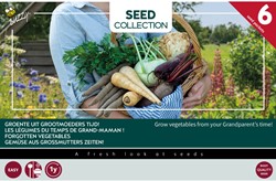 6 Forgotten vegetables - Buzzy Collection
