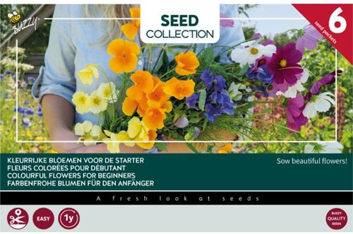 6 Colourful flowers for beginners – Buzzy Collection
