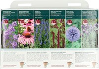 Collectie 6 soorten vrolijke bij- en vlinderbloemen – Buzzy Collection-3