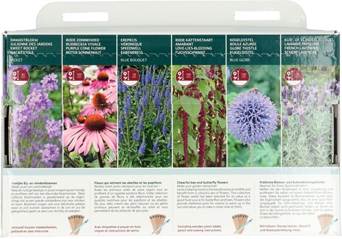 Collectie 6 soorten vrolijke bij- en vlinderbloemen – Buzzy Collection-3
