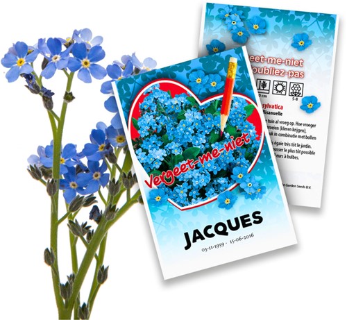 Forget-me-Not Personalized - Myosotis Printed Seed Packets - 100 pieces