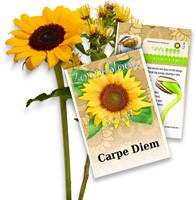 Zonnebloem zakjes persoonlijk bedrukt - 100 stuks