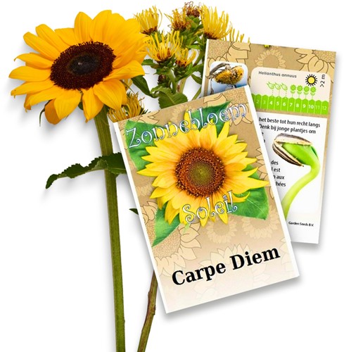 Sunflower Personalized Printed Seed Packets - 100 pieces